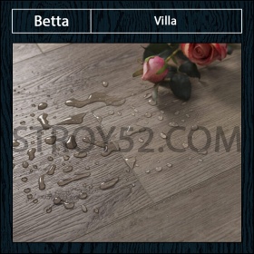 Villa V111 Дуб Андрия